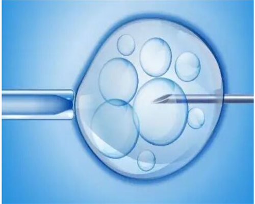 西安代怀哪里放心,试管婴儿是不是做一次就成功？_西安供卵试管靠谱吗_2个卵