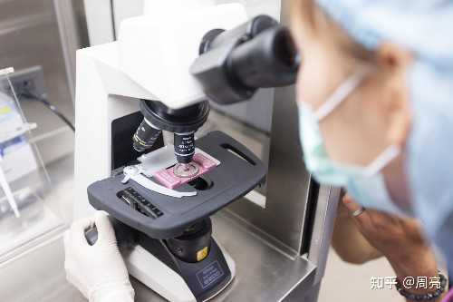 试管供卵的费用是多少&职业代孕,48岁高龄女性怎样备孕？48岁女性成功受孕四大