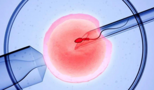 西安最大试管代孕医院,西安供卵试管婴儿包男孩