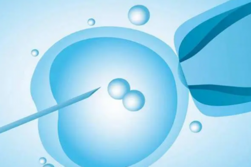 严重少精弱精做试管成功率大吗&最新专业供卵价格表,备孕后正常多久有