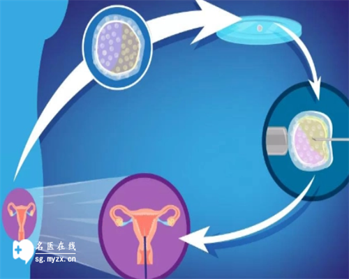 陕西试管婴儿多少钱？,陕西供卵试管费用多少钱