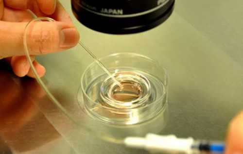 哪里有正规医院可以做供卵&好大夫在线 供卵,2026沧州不孕不育医院排名，看完