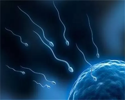 陕西哪里可以做试管婴儿,推荐陕西医大生殖医院