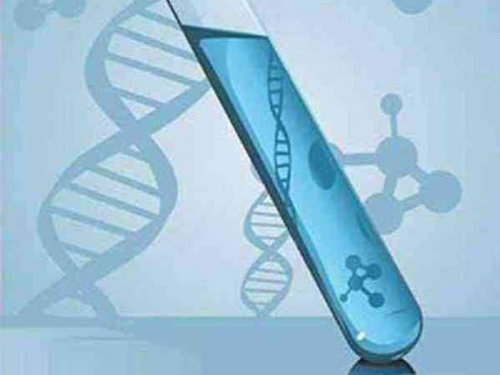 西安正规医院代孕,做美国试管婴儿生育双胞胎机会有多大？_西安哪里供卵试管