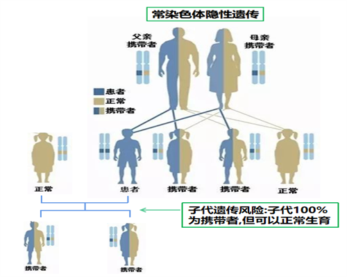 西安哪家代孕公司最好,有亲用艾灸暖宫吗，试管婴儿，移植后-西安做供卵试管