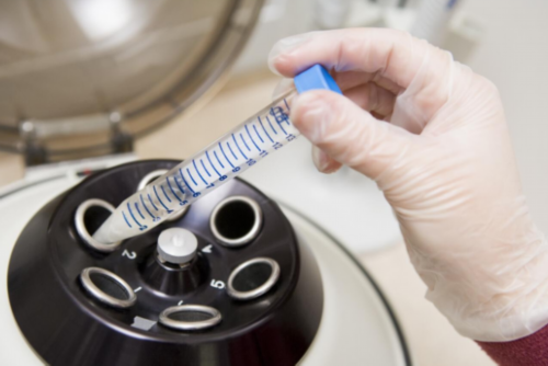 西安哪里有供卵子,西安试管医院排名：揭秘全国第谁才是最佳选择？