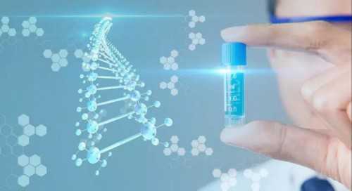 西安供卵助孕服务,做试管能不能怀孕？医生：这几点因素说了算_西安试管供卵