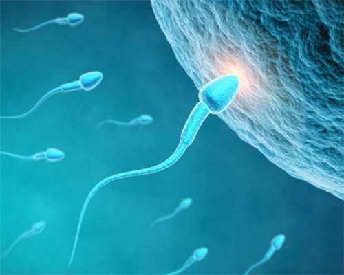 赴泰生子可选择性别费用&急招2026代妈,备孕期间，男人一点酒都不能喝吗？会有