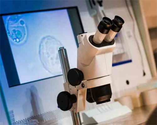 西安代生供卵网,试管之家分享：在重庆做试管婴儿大概多少钱-孕妇梦见好多鳝