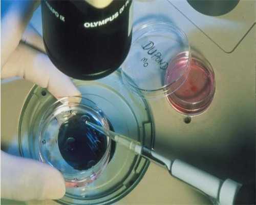 陕西试管助孕机构哪家靠谱,陕西有没有靠谱的三代试管机构，陕西喜岸成功率