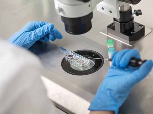 西安有哪些代孕公司,北医三院供卵费用（北京北医三院试管婴儿费用）-30岁卵