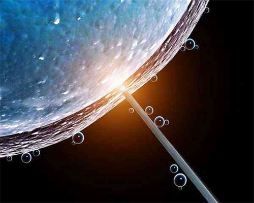 供卵亲子鉴定出来吗&供卵需要等多长时间,怀孕期间怎样预防脑瘫