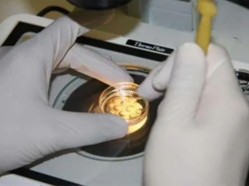 西安最优质代怀网,试管婴儿促排期间要忌口吗-西安供卵试管靠谱吗_供卵代生医