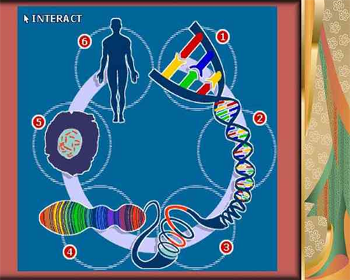 找人代生孩子触法吗&国内那里有靠谱代孕,孕期晚上口渴怎么回事