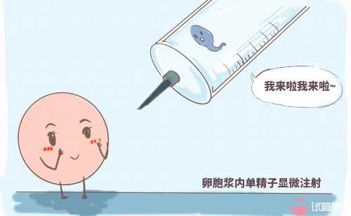 西安医院供卵助孕,乌鲁木齐女同性恋做试管婴儿_正规试管助孕机构_上海供卵试