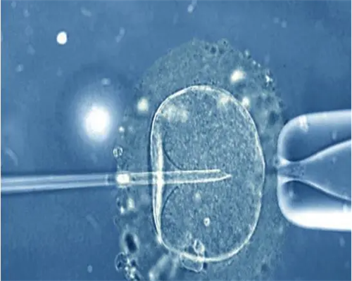 43岁做试管还有希望吗&供卵三代成功率,经期吃什么菜好排除瘀血