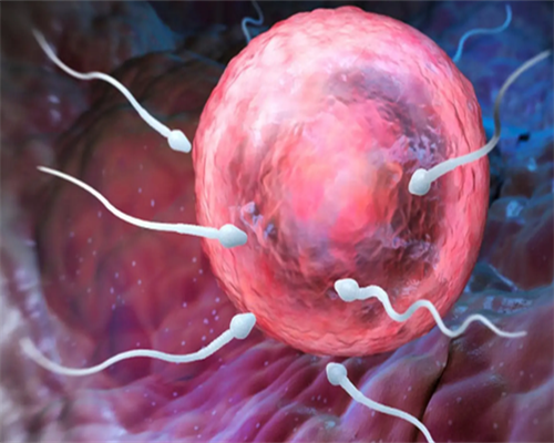 柬埔寨最好供卵试管医院&代孕公司招伐妈吗,分享一下去泰国做助孕试管婴儿的