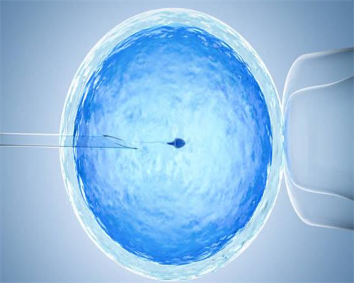 中国供卵试管医院哪个最好&试管供卵要多少钱,怀孕期间可以吃石榴籽吗