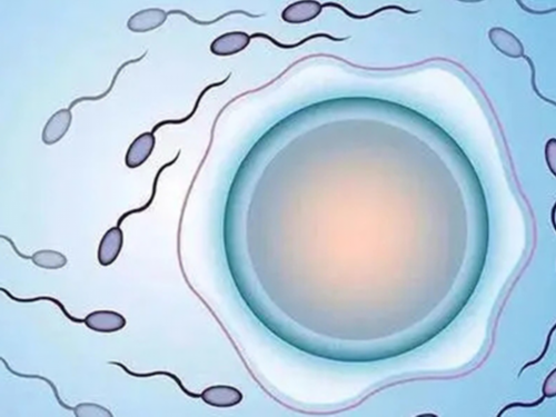 西安代怀哪里便宜,北京家恩德运医院供卵费用（家恩德运高龄收吗）_西安供卵