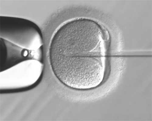 在泰国做供卵试管婴儿&个人代妈,打算做试管婴儿我们夫妻双方需要如何备孕