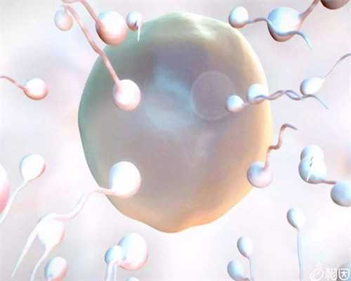 国内有哪家医院能做供卵试管婴儿&大龄妇女怀孕成功率,备孕同房后躺了2小时还