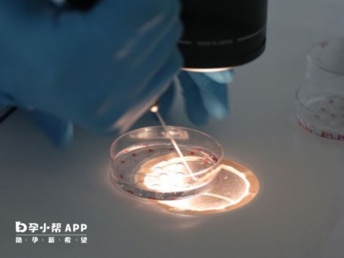 第试管婴儿胚胎的冷冻技术好不好？胚胎为什么要冷冻？