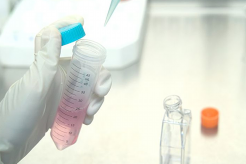 供卵女孩没有想象中的好&供卵移植机率大吗,家里有宠物准备备孕该怎么办，需