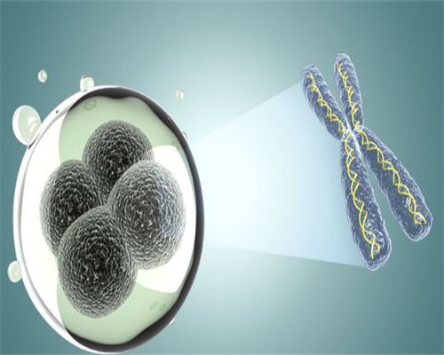 孕早期饮食的误区与营养均衡需求：豆腐乳的选择与风险