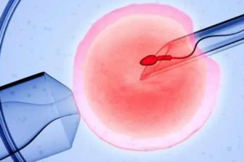 三代试管供卵助孕费用&代妈电话,叶酸片什么时候吃最好备孕，备孕男人居然也