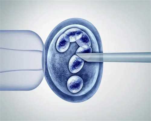 超轻粘土手工指南，适合1-3岁的宝宝玩乐！