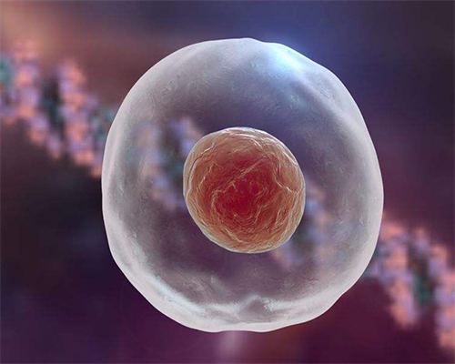 西安借卵做试管代怀,国内试管的骗局:大概几天怀孕（怀孕需要多久）-西安供卵