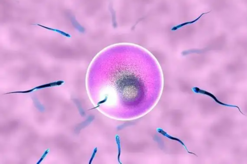 西安私人代孕网,34岁AMH值低，选择泰国试管婴儿2个月怀男宝经历_西安地下供卵