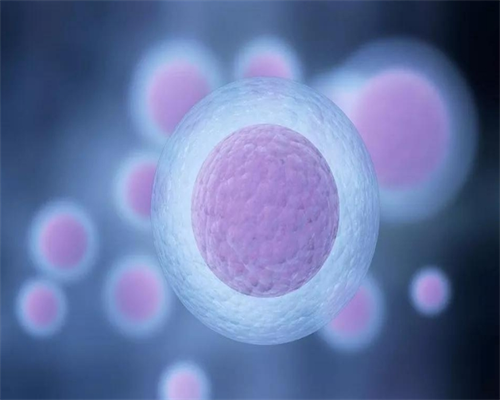 宫颈炎治疗备孕的关键知识有哪些？