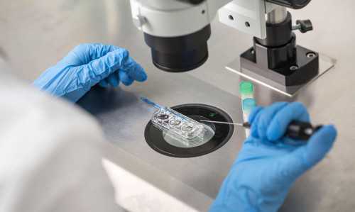 陕西省热门试管婴儿城市,陕西试管婴儿医院推荐