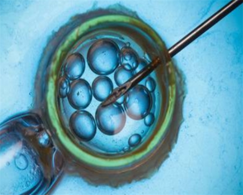 那里做代孕成功率高&选什么样的女孩供卵,刚开始备孕不久打算下半年怀孕近期