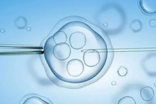 西安代孕网怎么样,北京家恩德运医院做试管怎么样？收费贵不贵？_西安供卵需