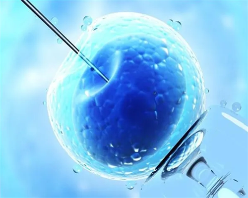 西安代生费用明细,2026年做试管婴儿费用可以走医保吗_西安有没有供卵的-准备