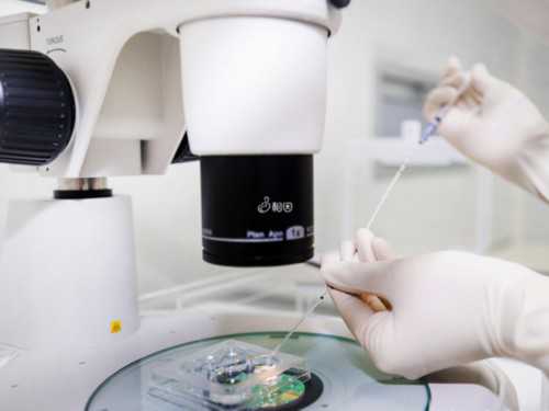 供卵的妹妹分享一下经验&供卵医院有多少家,试管备孕最怕雌激素低，应对有好