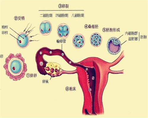 流产后输卵管堵塞的治疗方法