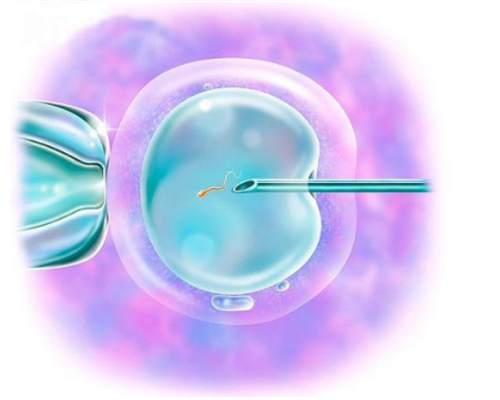 38岁人工试管成功经验&弱精症试管失败,备孕时发现患有子宫肌瘤，是先怀孕还