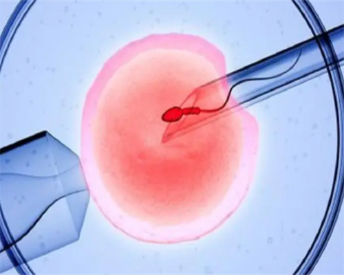 西安知名代孕公司,试管婴儿聪明吗？胚胎等级越高越聪明吗？-西安供卵医院有