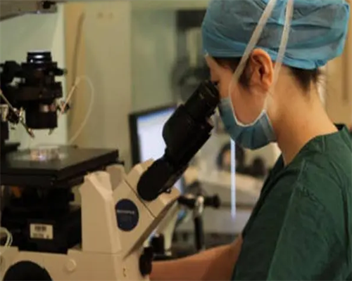 西安代孕机构网站,唐山妇幼做试管哪个大夫好唐山妇幼做试管哪个主任_西安私