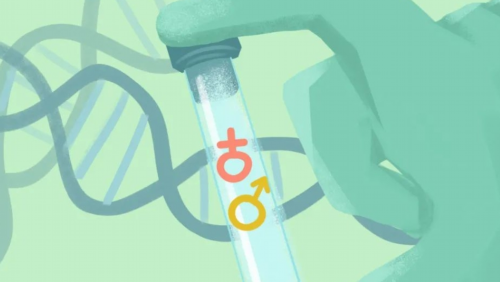 南京减肥训练营一个月的费用及月费价格是多少？