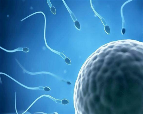 供卵试管子宫需要哪些条件&供卵试管生的孩子,不孕不育初次检查最好“男士优