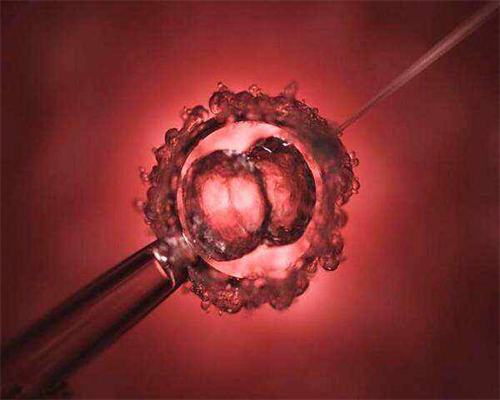 陕西好的助孕机构有哪些,陕西设计培训机构排名