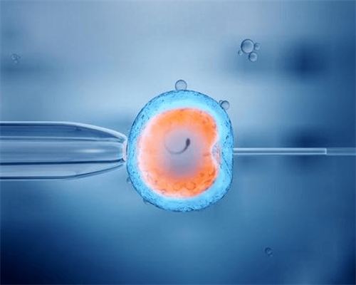 西安私人代怀孕网,二代试管婴儿要怎么筛选精子？-西安正规供卵医院_上海供卵