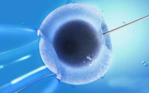 输卵管阻塞做试管婴儿要注意什么?