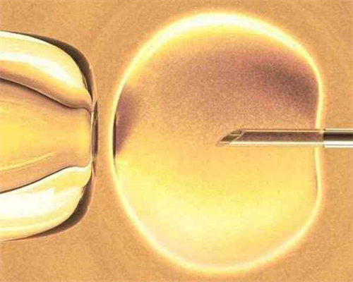 西安试管代怀结果,做试管促排卵能同房吗_上海供卵试管生子多少钱_西安供卵选