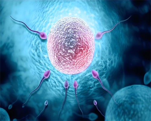 弱精试管不成功怎么办&高价找代孕,你要了解的几种辅助生殖的助孕方式