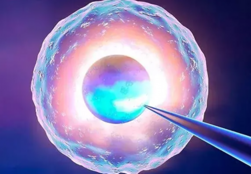 西安代怀网谁做过,在西安私人医院做三代试管婴儿可以选男孩吗？_降调人工周